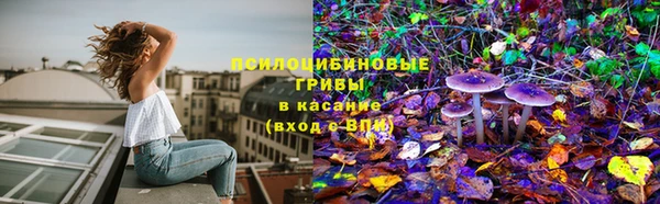 мдма Богданович