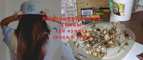 мдма Богданович