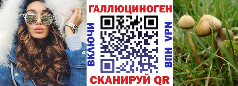 Псилоцибиновые грибы GOLDEN TEACHER МЕГА маркетплейс Бутурлиновка