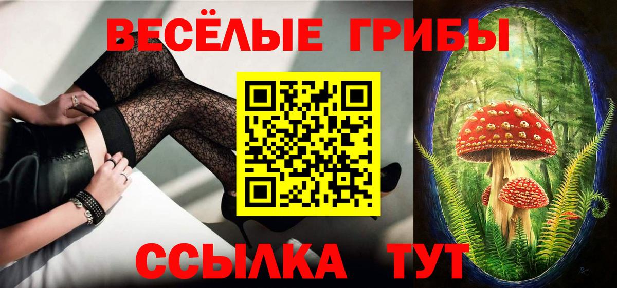 Галлюциногенные грибы Psilocybe  Галлюциногенные грибы ЛСД  Бутурлиновка 