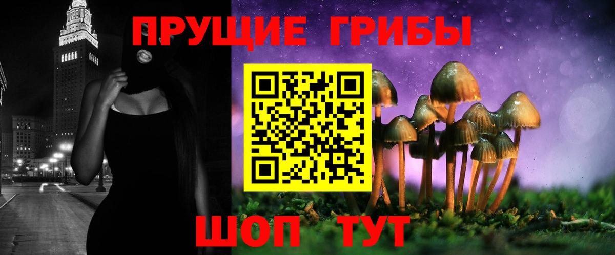Псилоцибиновые грибы прущие грибы  Вход с VPN  Бутурлиновка  Галлюциногенные грибы Cubensis 